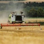 В Україні значно зросла вартість гектара землі