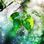 В Україні чергуватимуться грози зі спекою до +37°