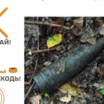 Небезпечна знахідка у лісі: на Яворівщині вилучили боєприпас, знайдений грибниками