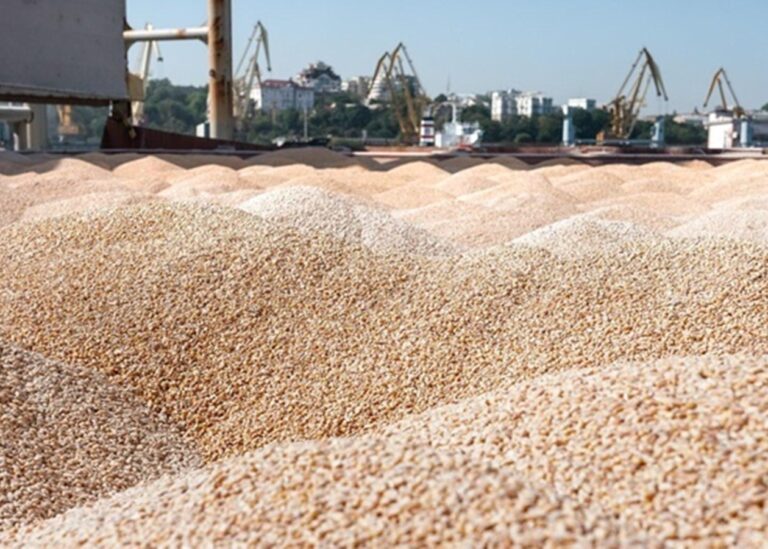 Україна продала мільйон тонн пшениці нового врожаю